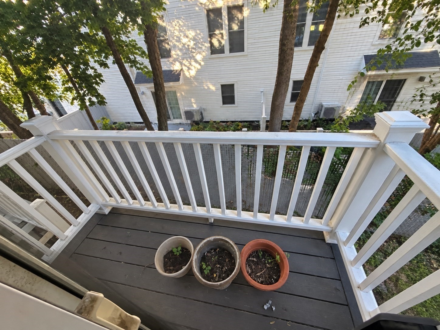 50 Ash Ave # A Property Photo 22