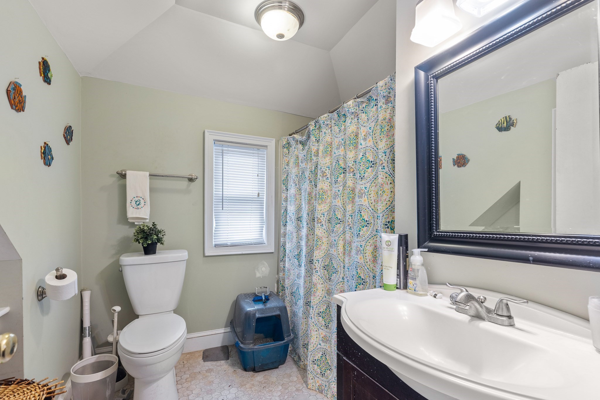 7 Kane St Property Photo 14