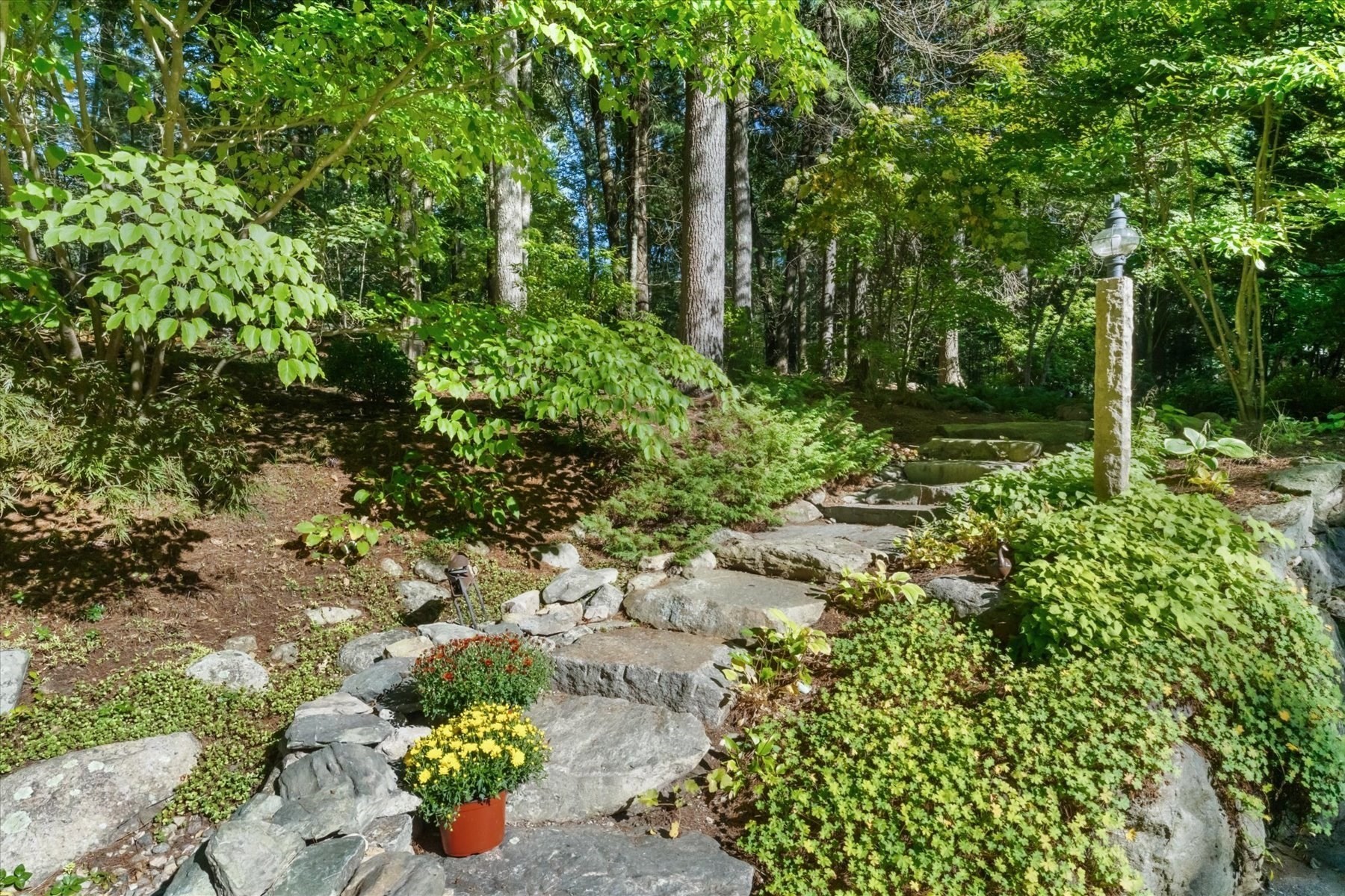 53 Green Ln Property Photo 21