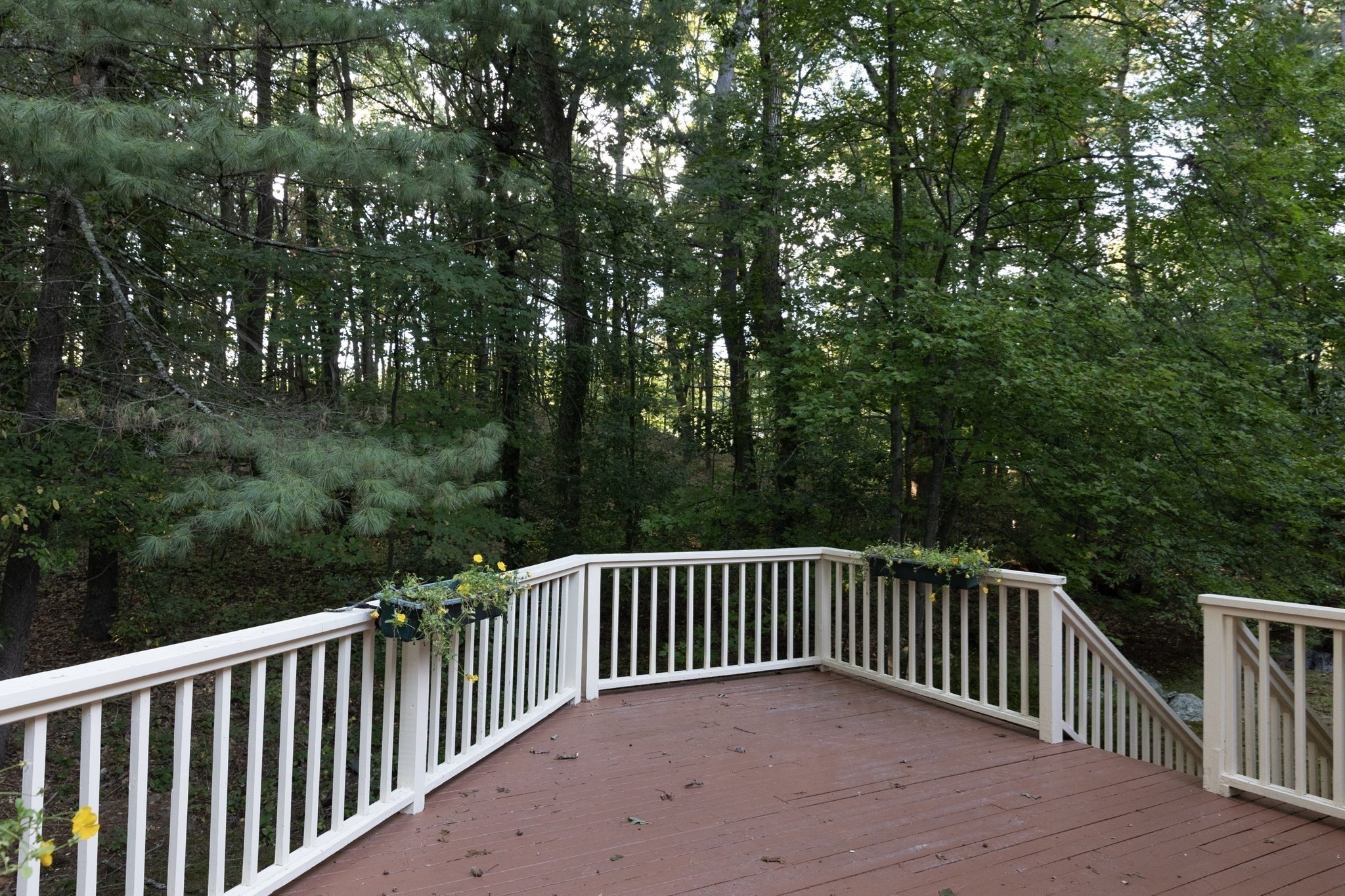 4 Mead Circle Property Photo 30