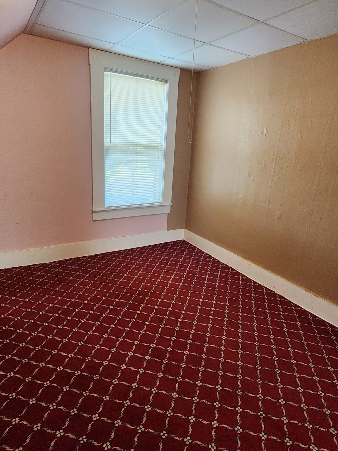 37 Barclay Street Property Photo 28