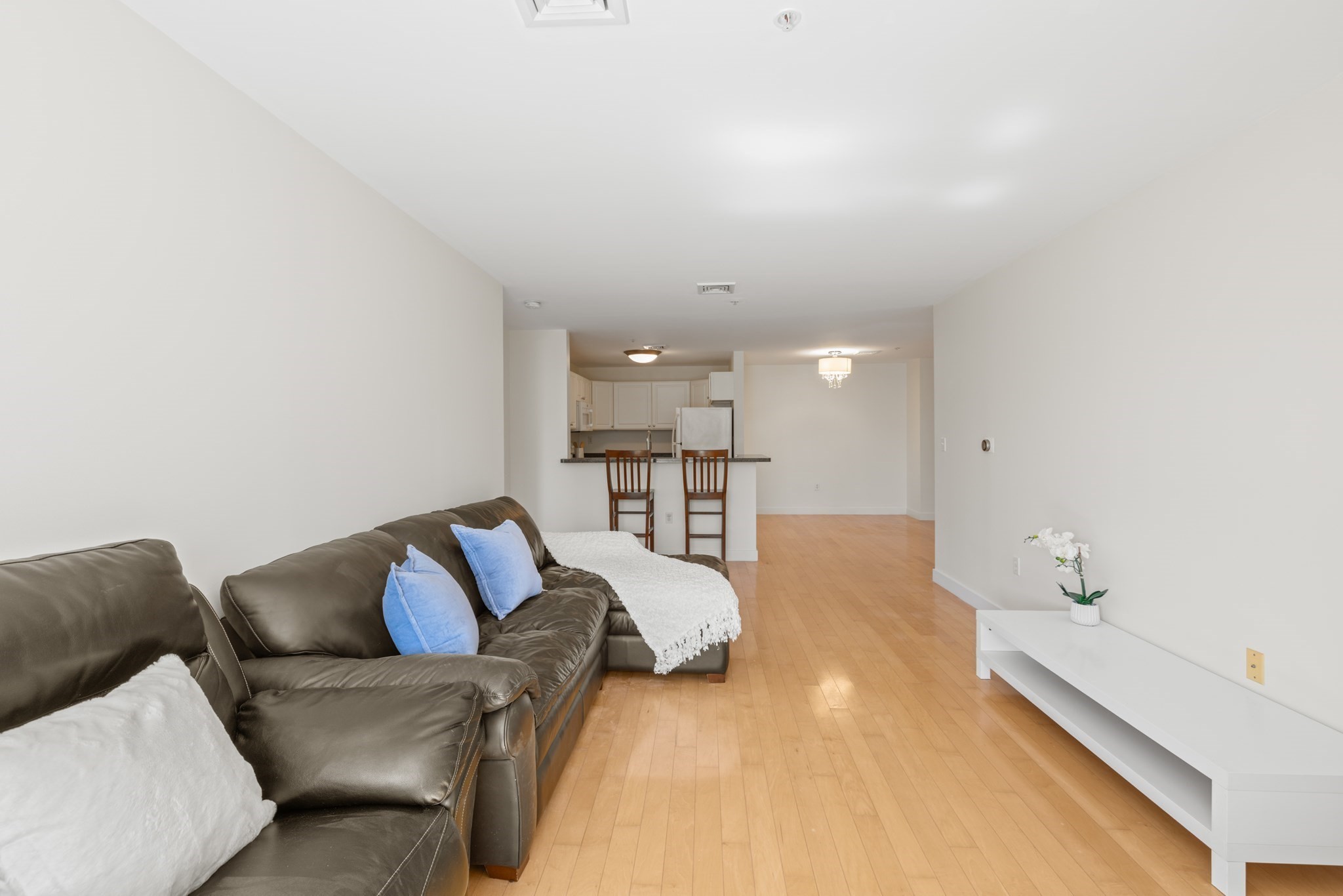 30 Franklin St # 312 Property Photo 5