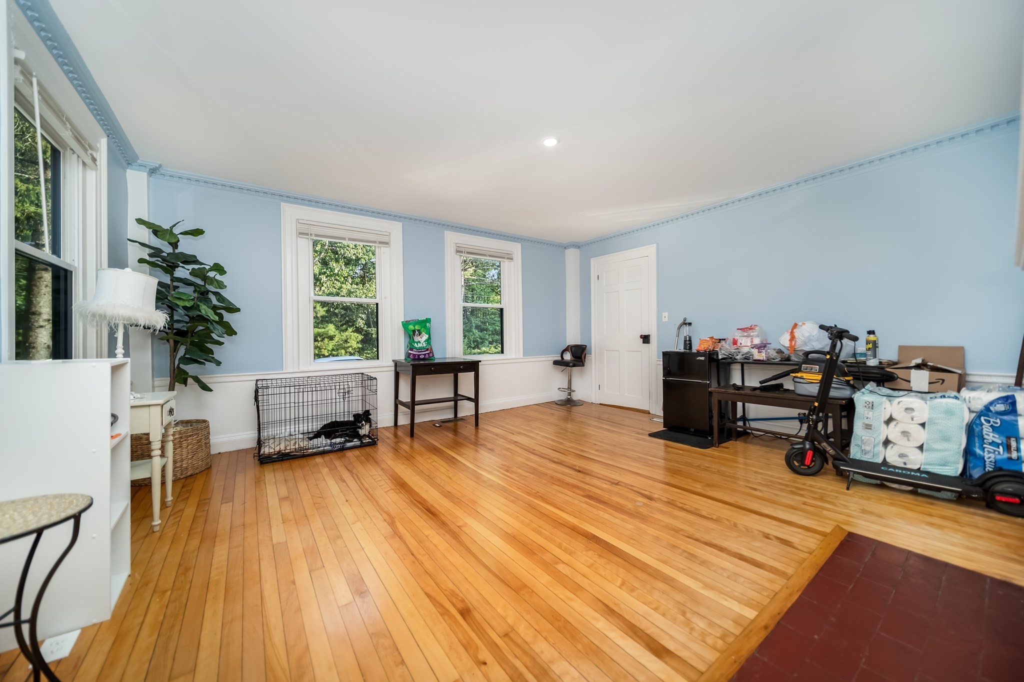 20 Harnden St Property Photo 17