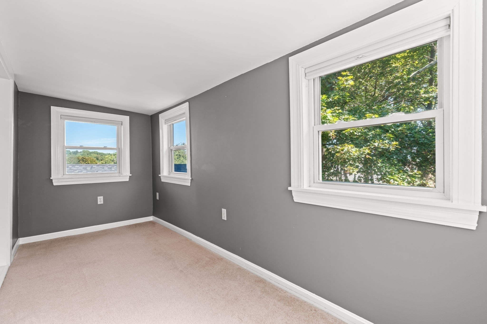 29 Myrtle Street Property Photo 24