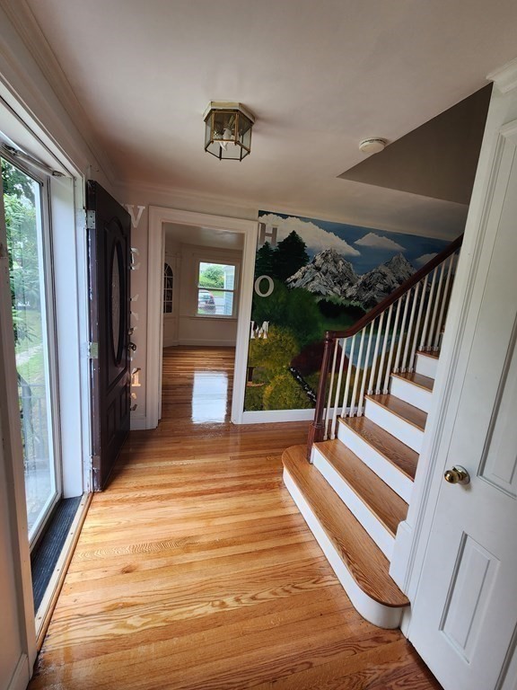 203 Burncoat St Property Photo 4