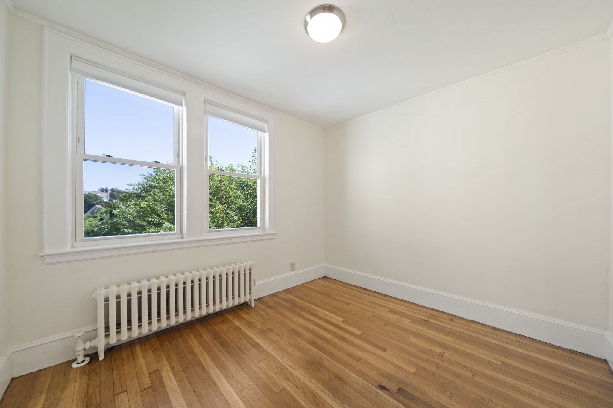 12 Bellevue St Property Photo 20