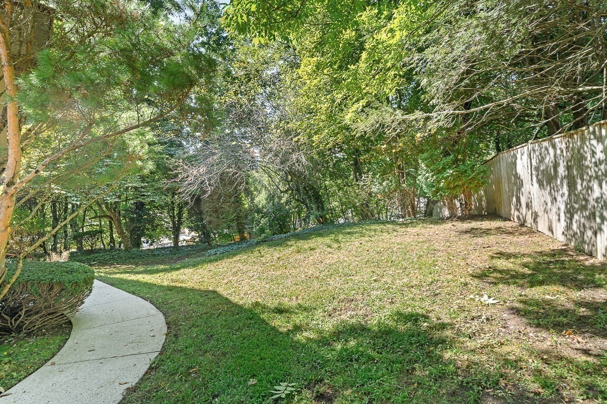 7 Arnold Rd Property Photo 35