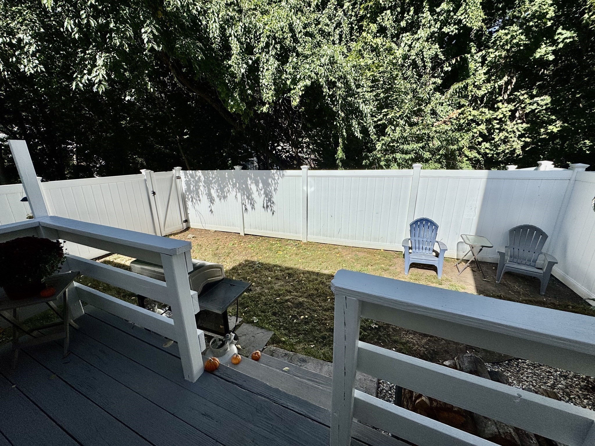 213 Lake Street # 62 Property Photo 29