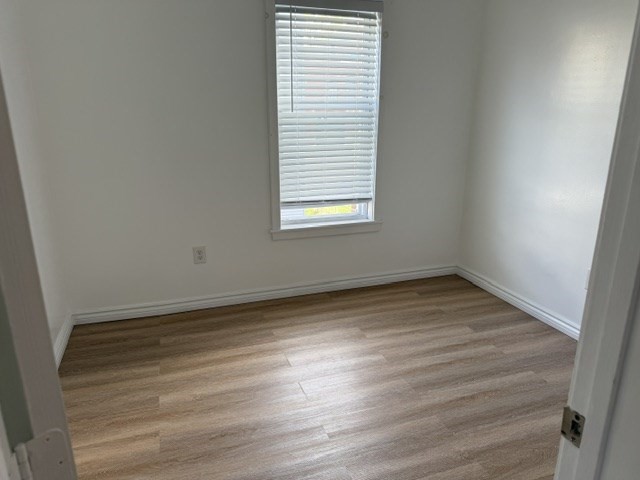 47 Malvey St # 2 Property Photo 3