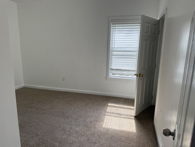 47 Malvey St # 2 Property Photo 4