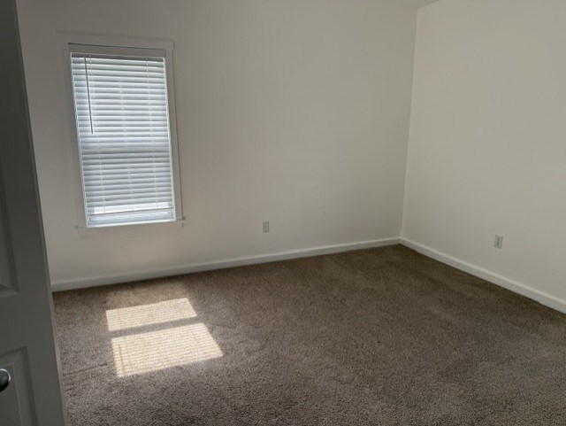 47 Malvey St # 2 Property Photo 5