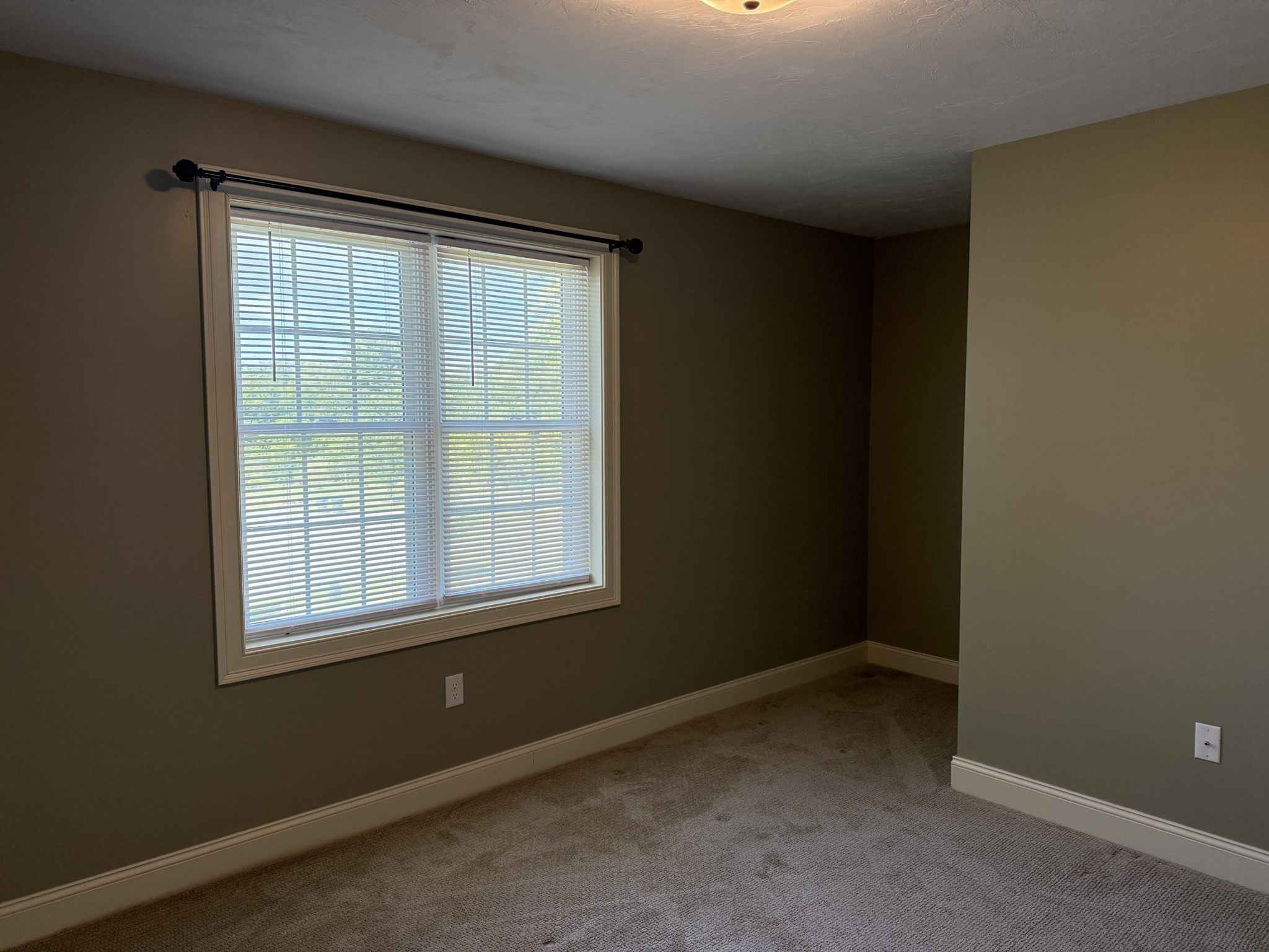 10 Shamrock Lane Property Photo 17