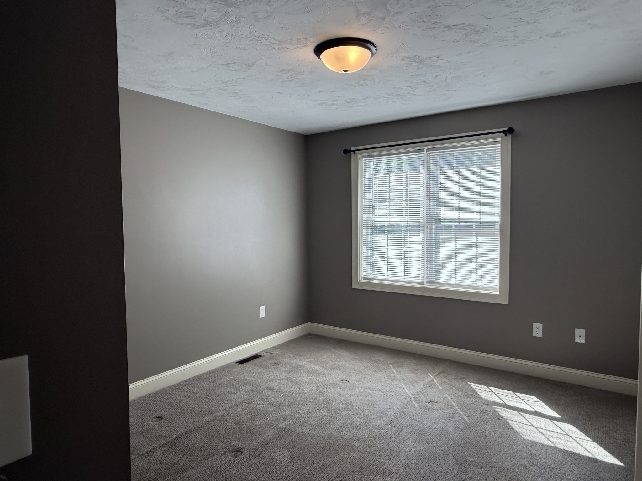 10 Shamrock Lane Property Photo 22