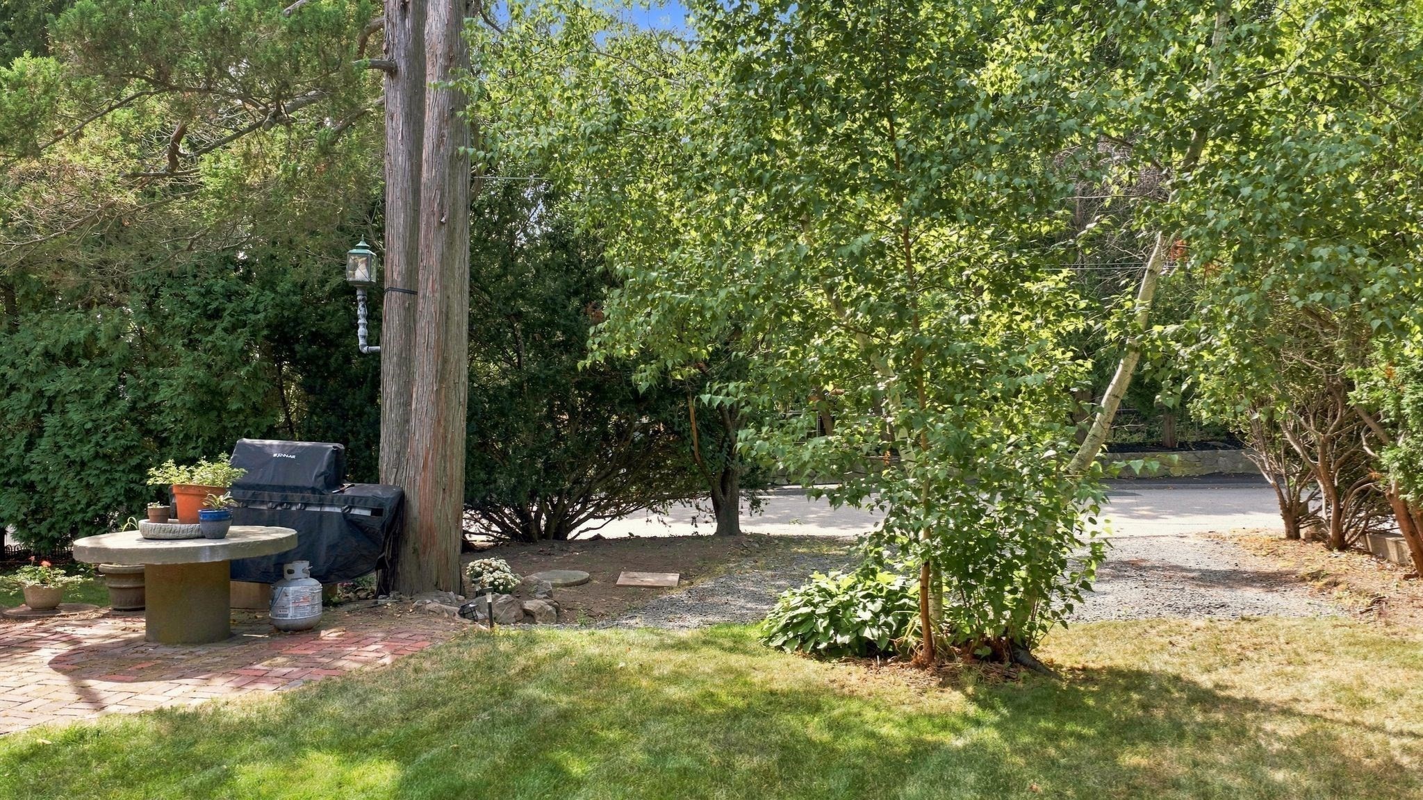 20 Tidd Street Property Photo 6