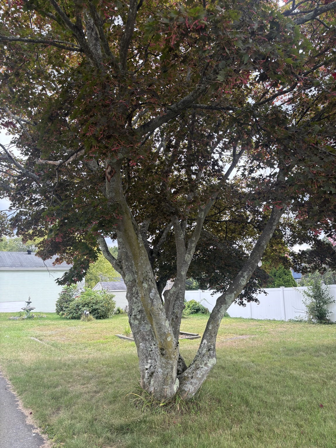 15 Euclid Ave # 2 Property Photo 8