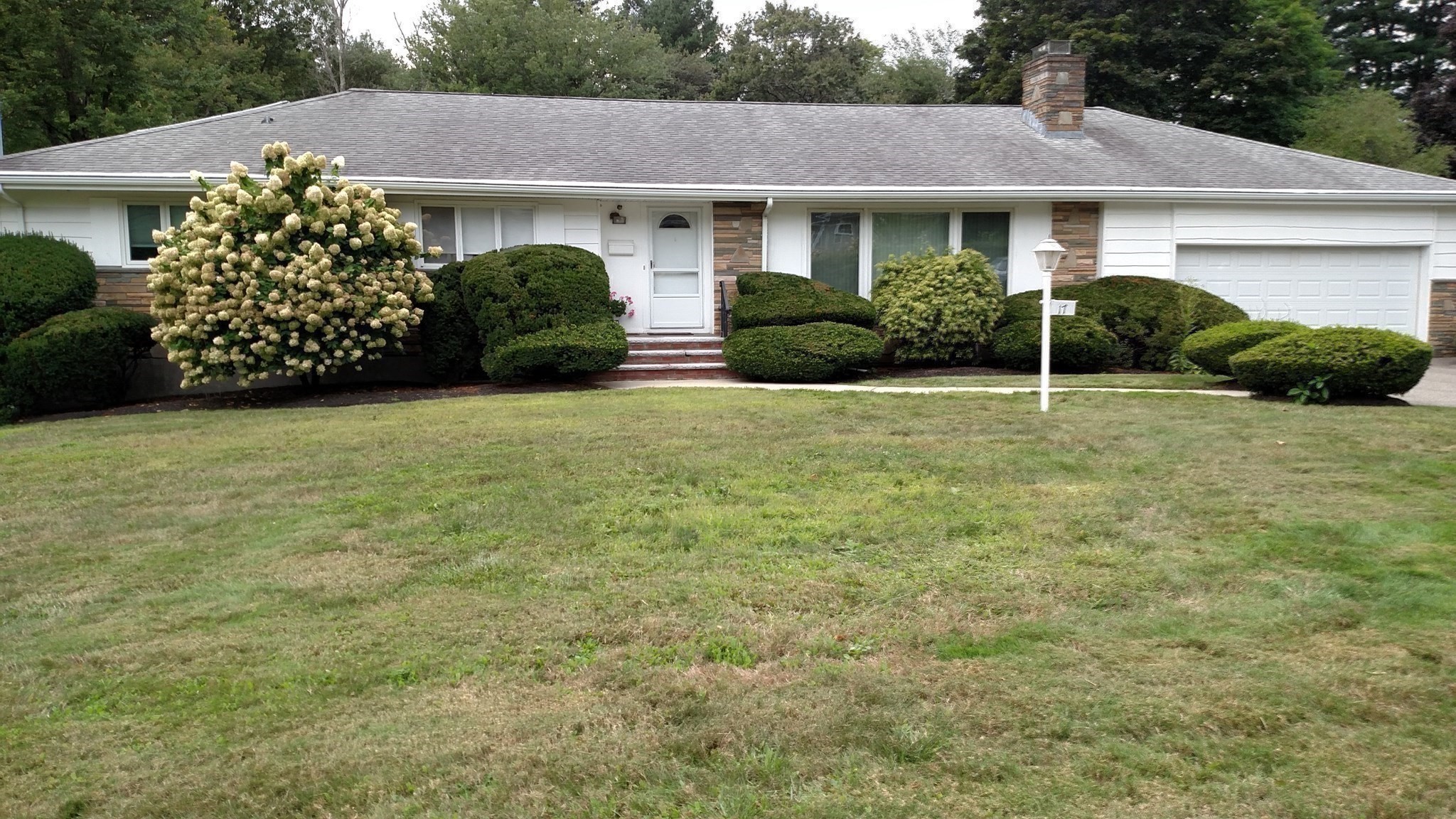 17 Hallen Ave Property Photo 38
