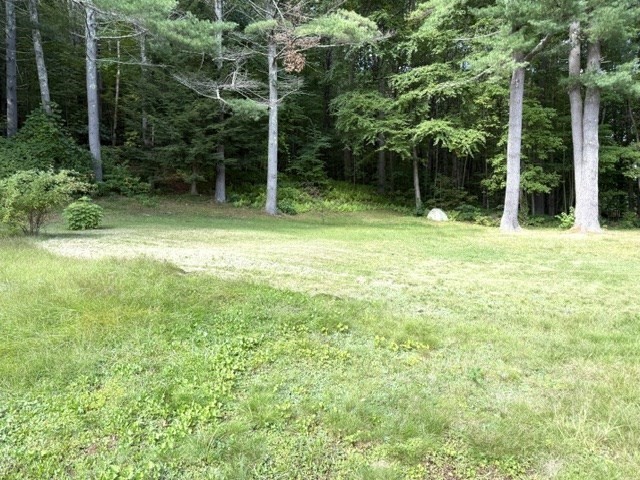 334 Wheelwright Rd Property Photo 15