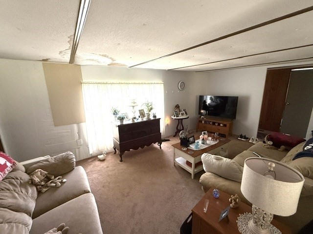 334 Wheelwright Rd Property Photo 17