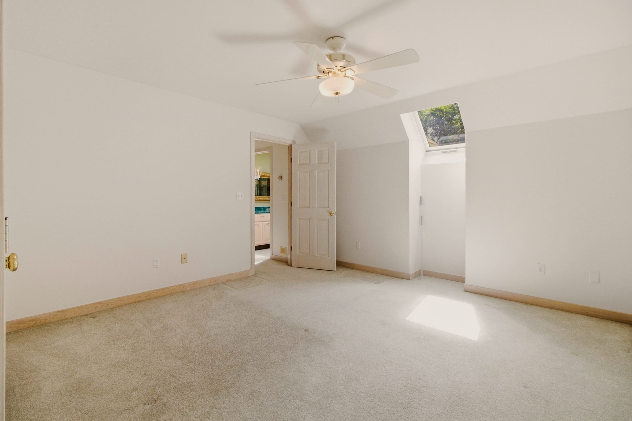 242 Church Pond Property Photo 28