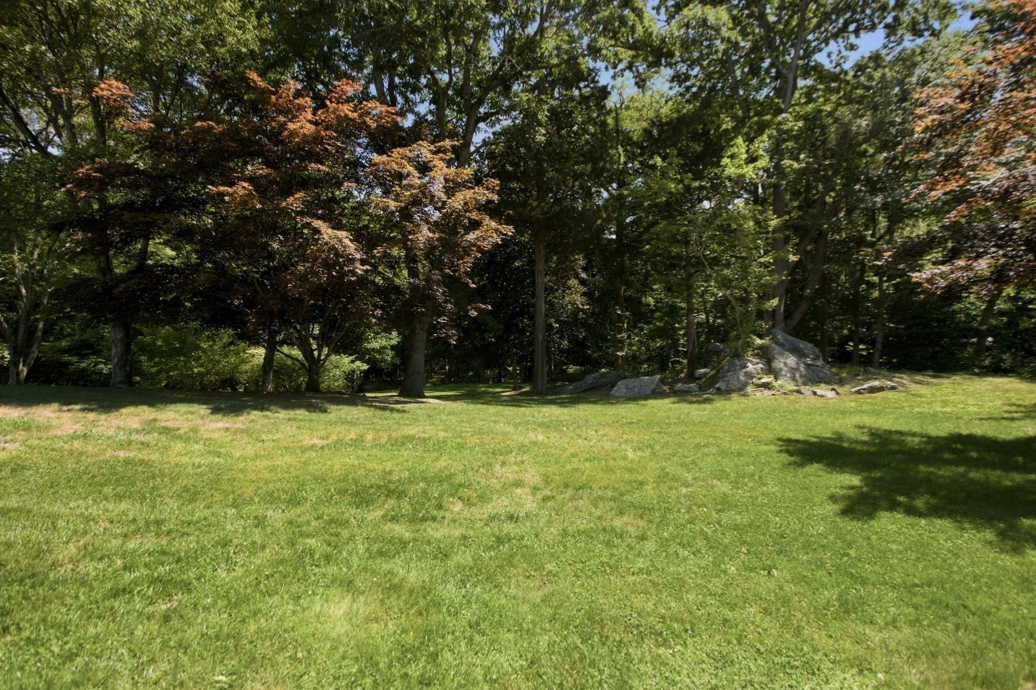 242 Church Pond Property Photo 34