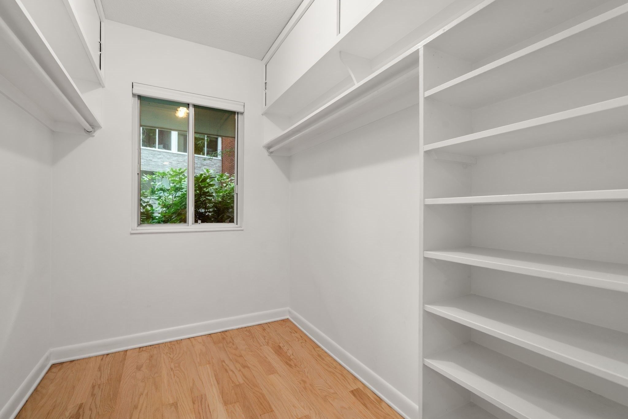 18 Chestnut Pl # 18 Property Photo 15