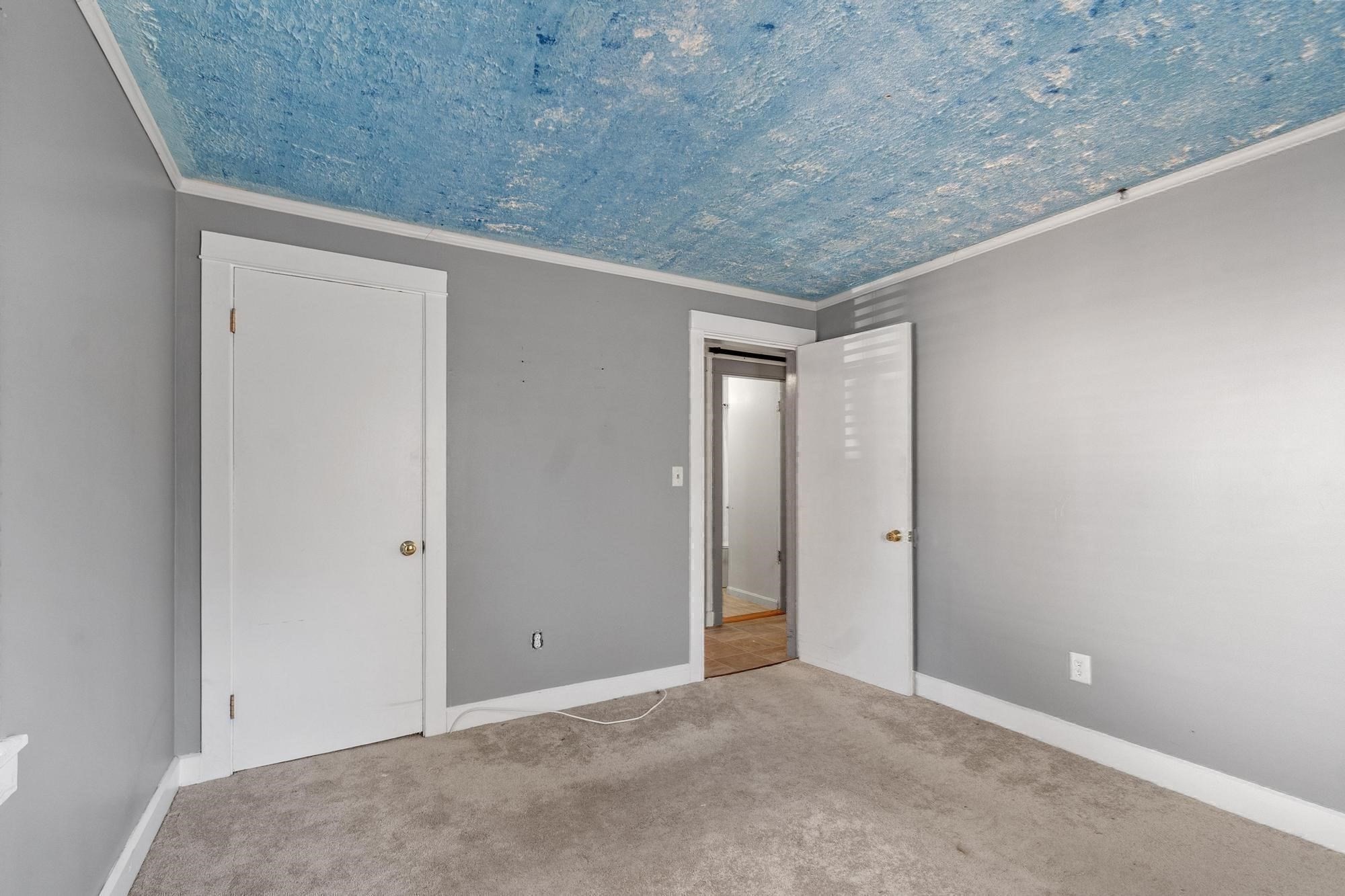 368 Litchfield St Property Photo 35