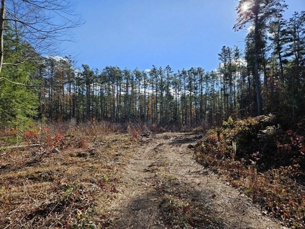 53 Daniel Shays Highway Property Photo 1