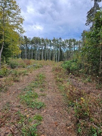 53 Daniel Shays Highway Property Photo 2