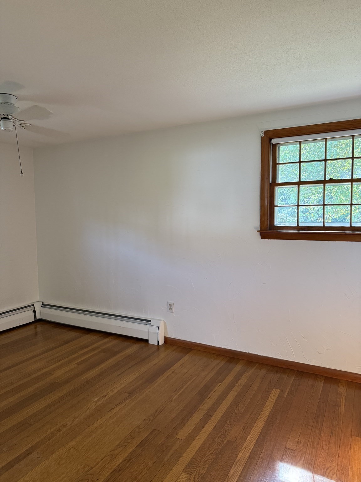 3 Hopewell Street Property Photo 24