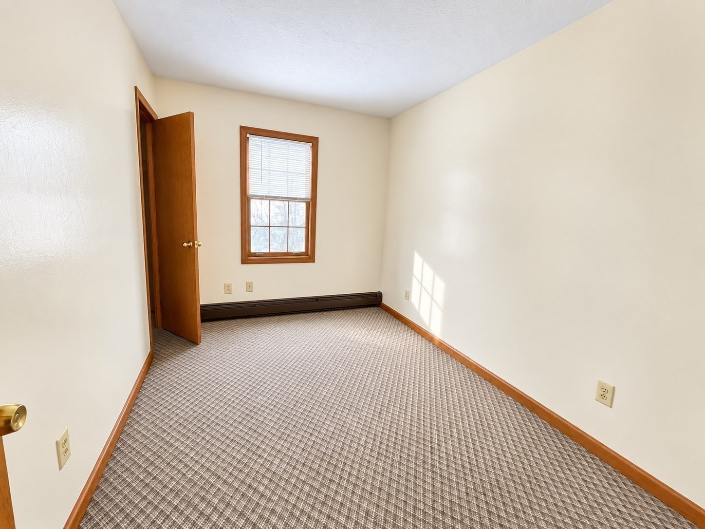 34 Dorchester St Property Photo 12
