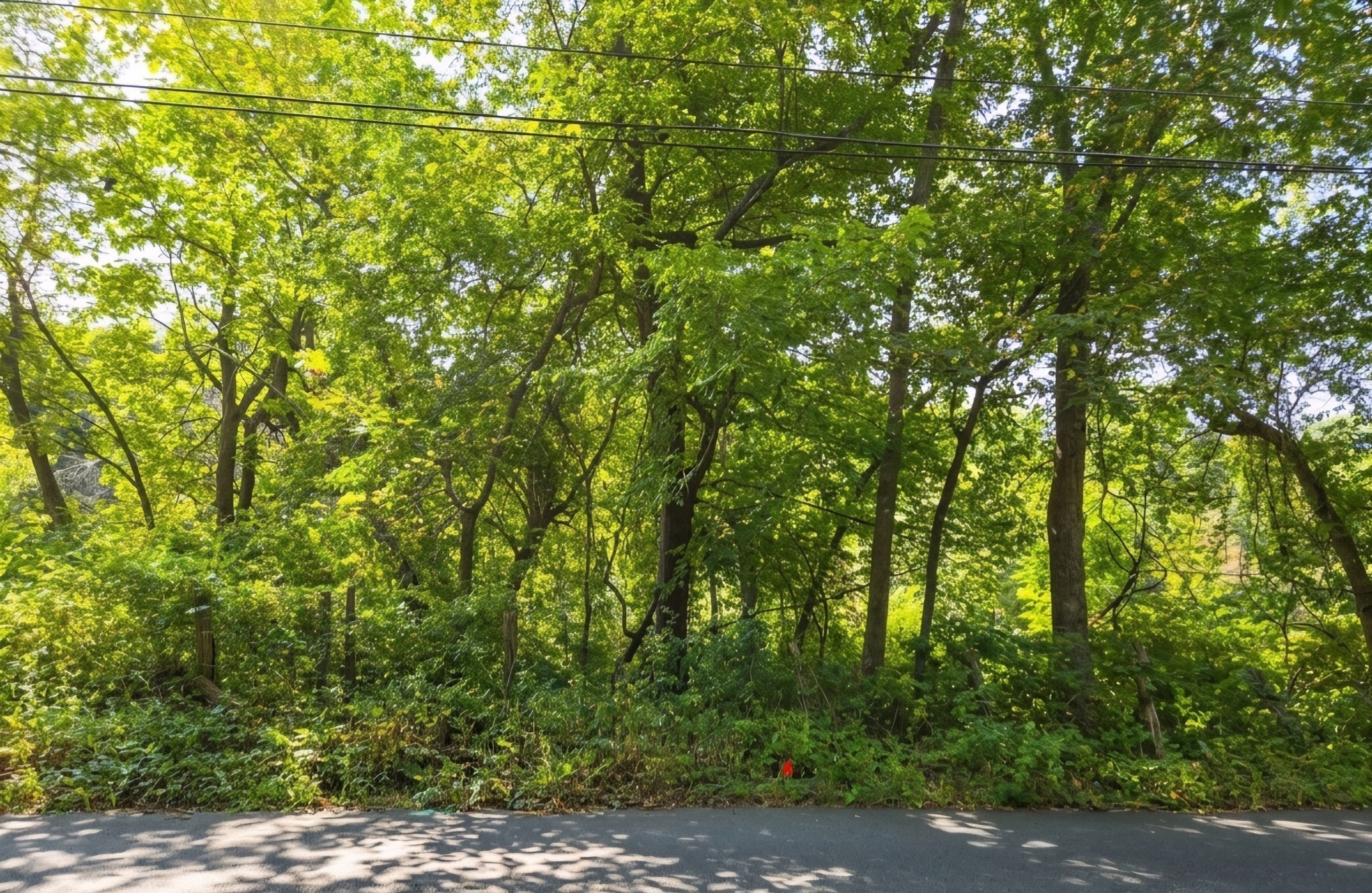 Lot B Pochassic Road Property Photo 1