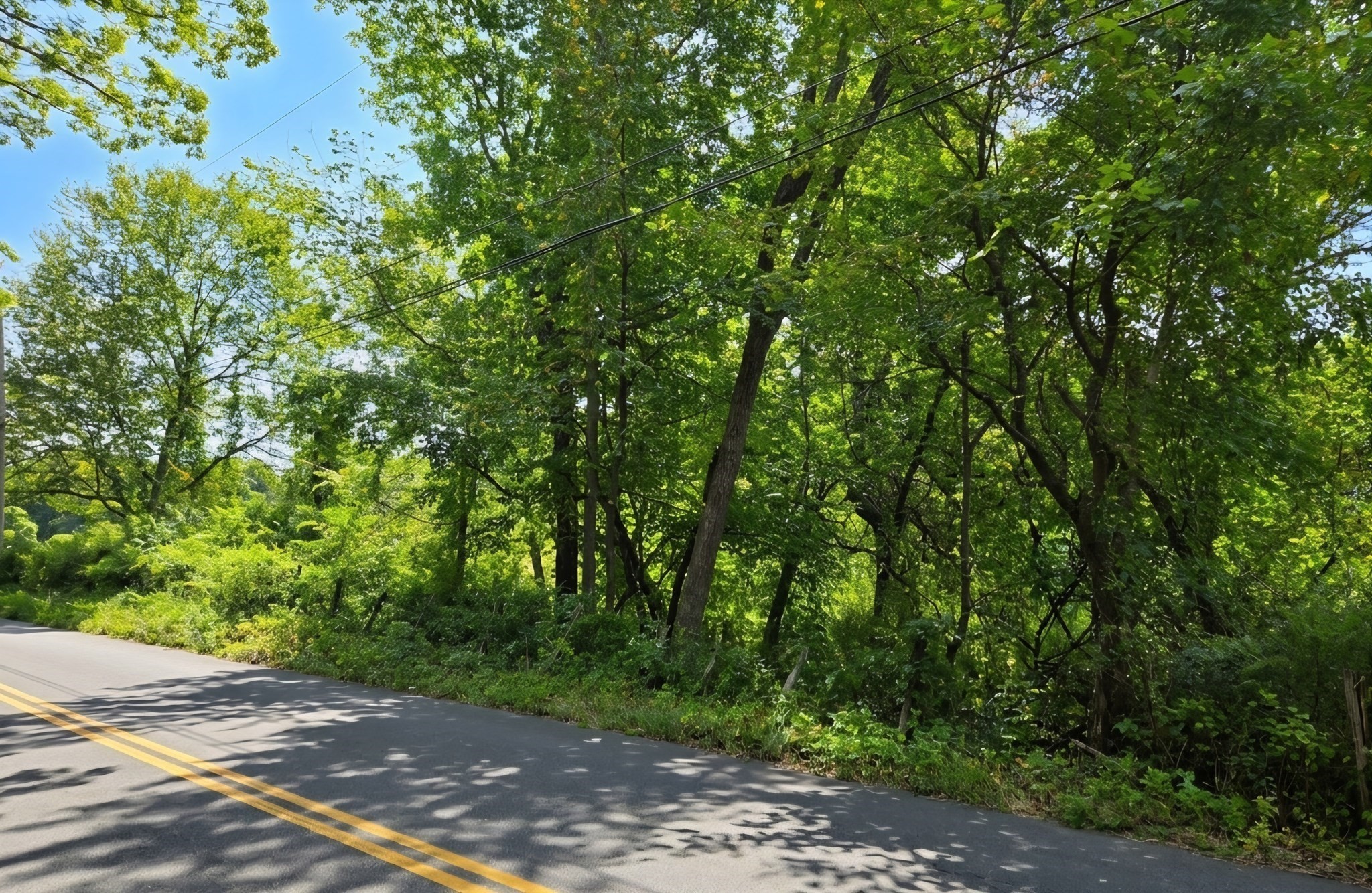 Lot B Pochassic Road Property Photo 2