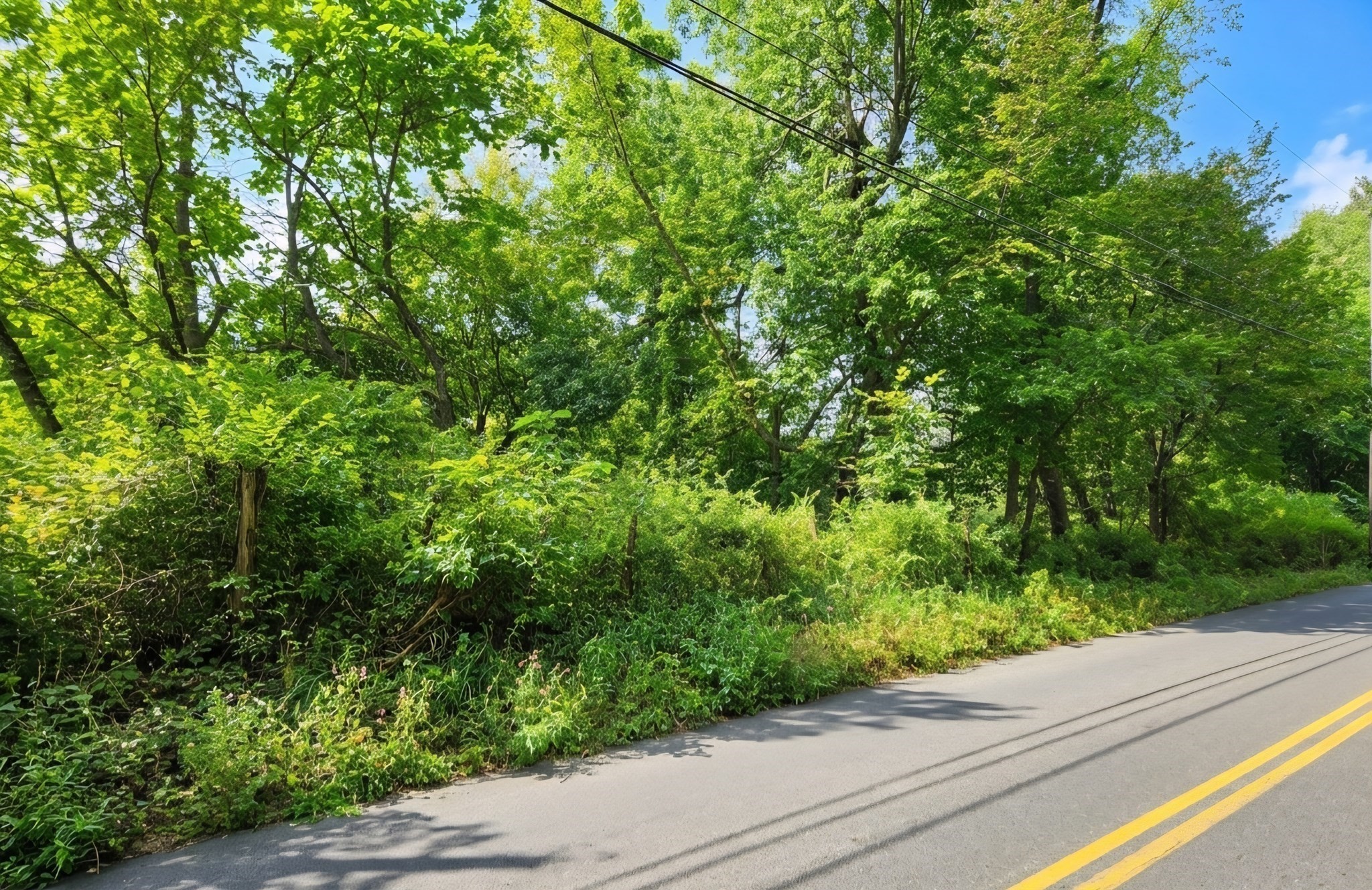 Lot B Pochassic Road Property Photo 3