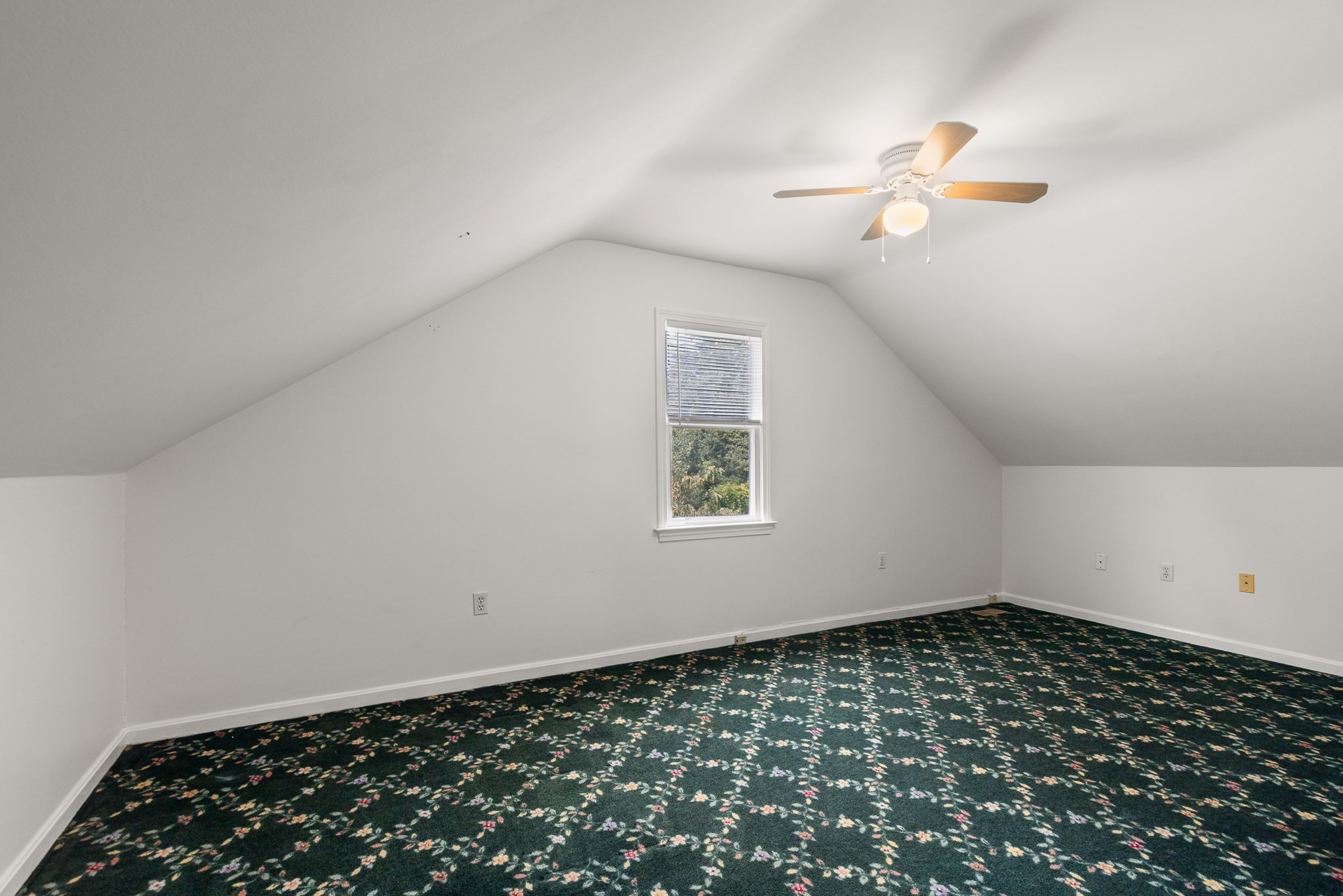 101 Brookline Way # 101 Property Photo 29