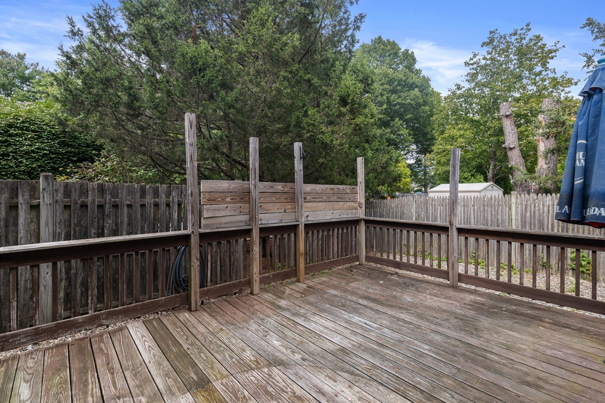 101 Brookline Way # 101 Property Photo 32