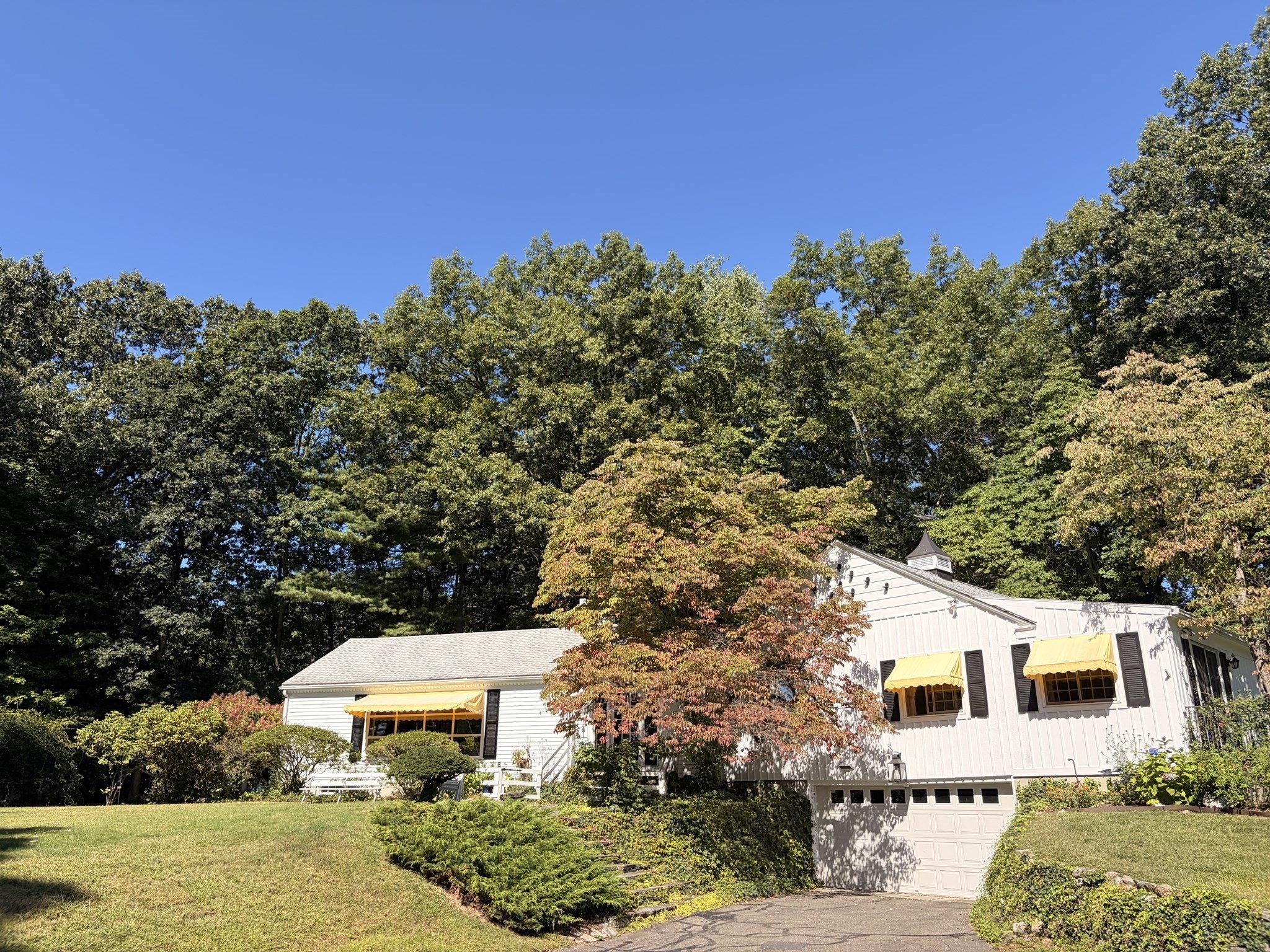134 Maplewood Terrace Property Photo 4