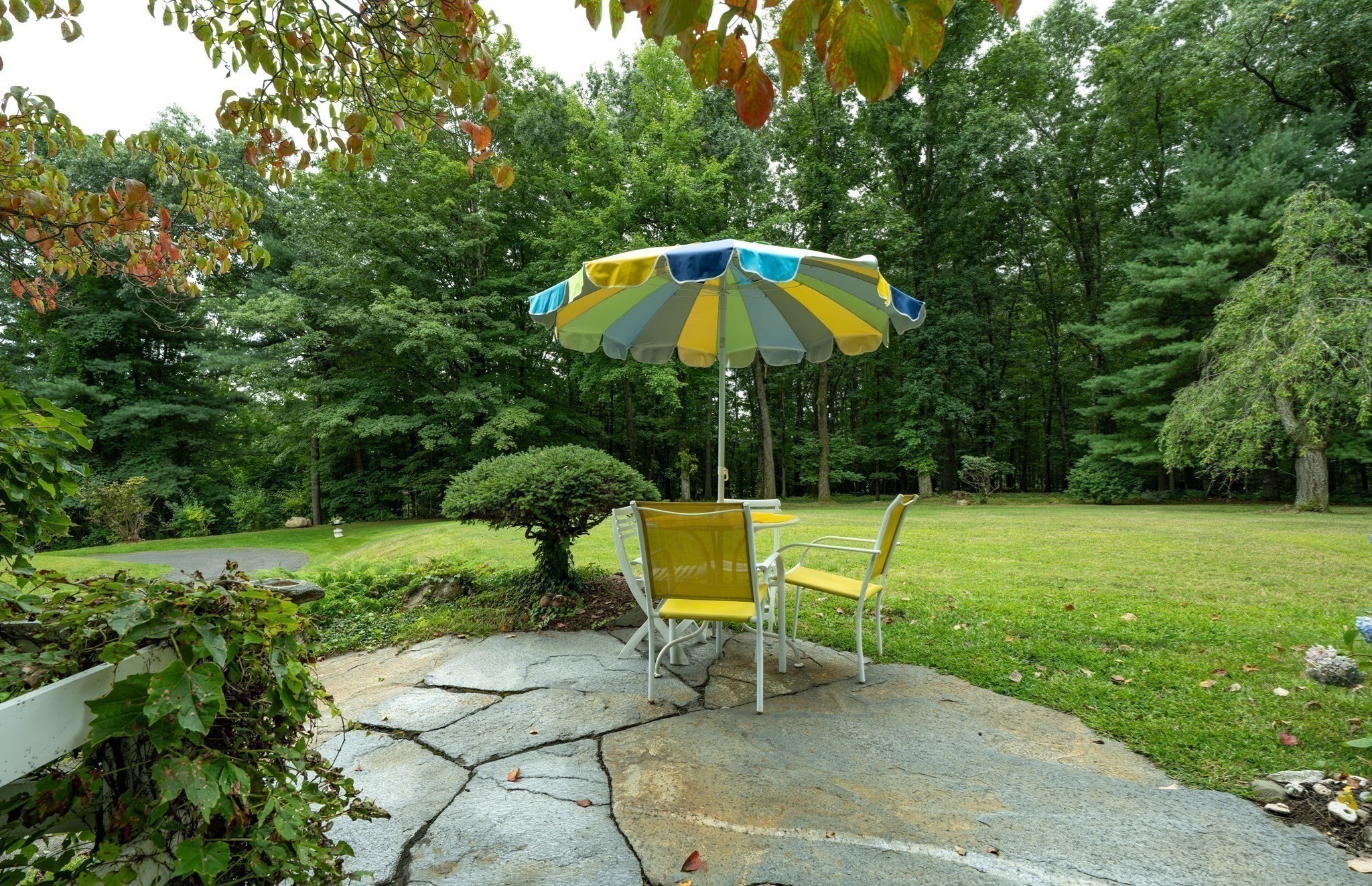 134 Maplewood Terrace Property Photo 26