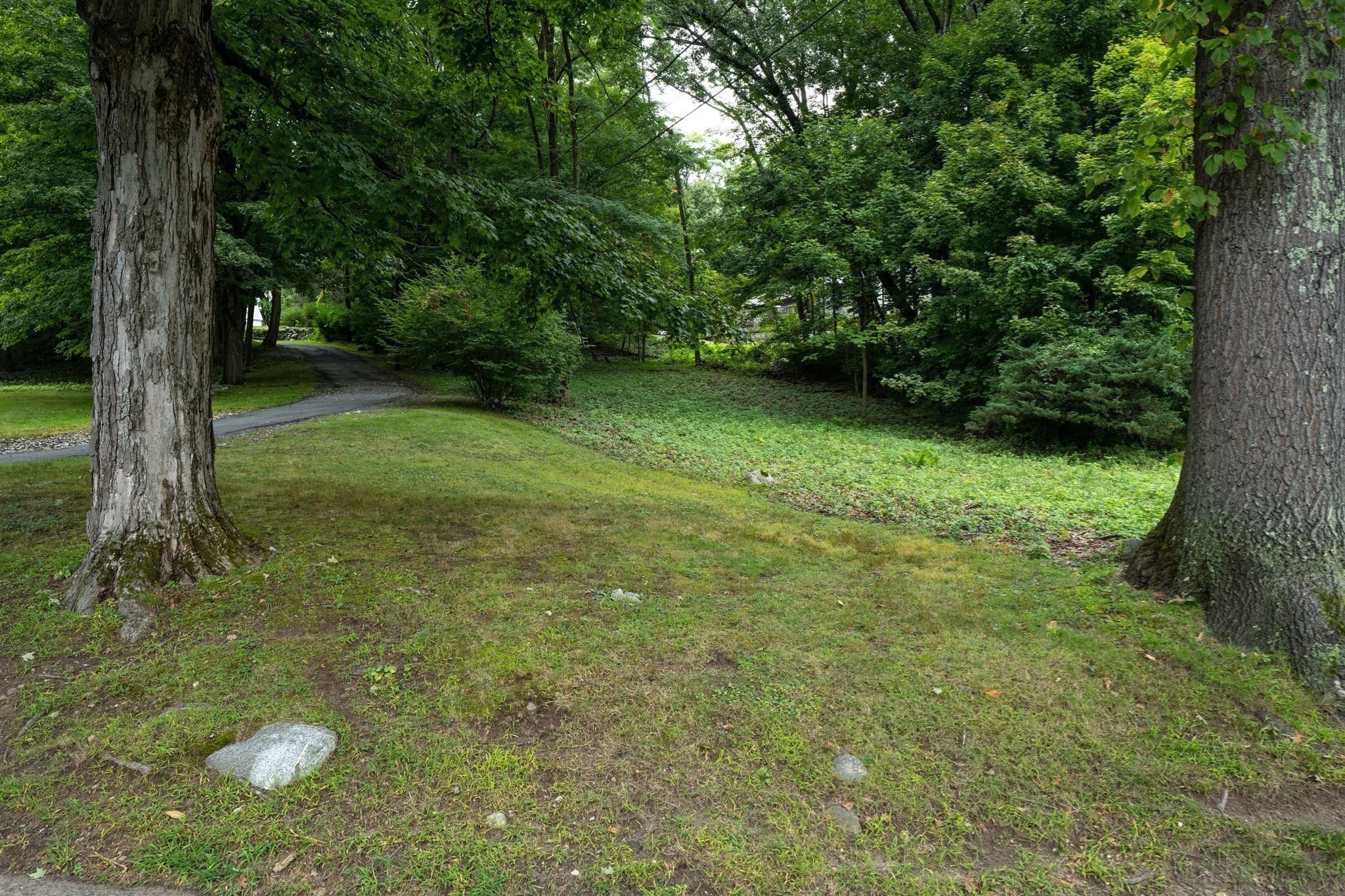 134 Maplewood Terrace Property Photo 28