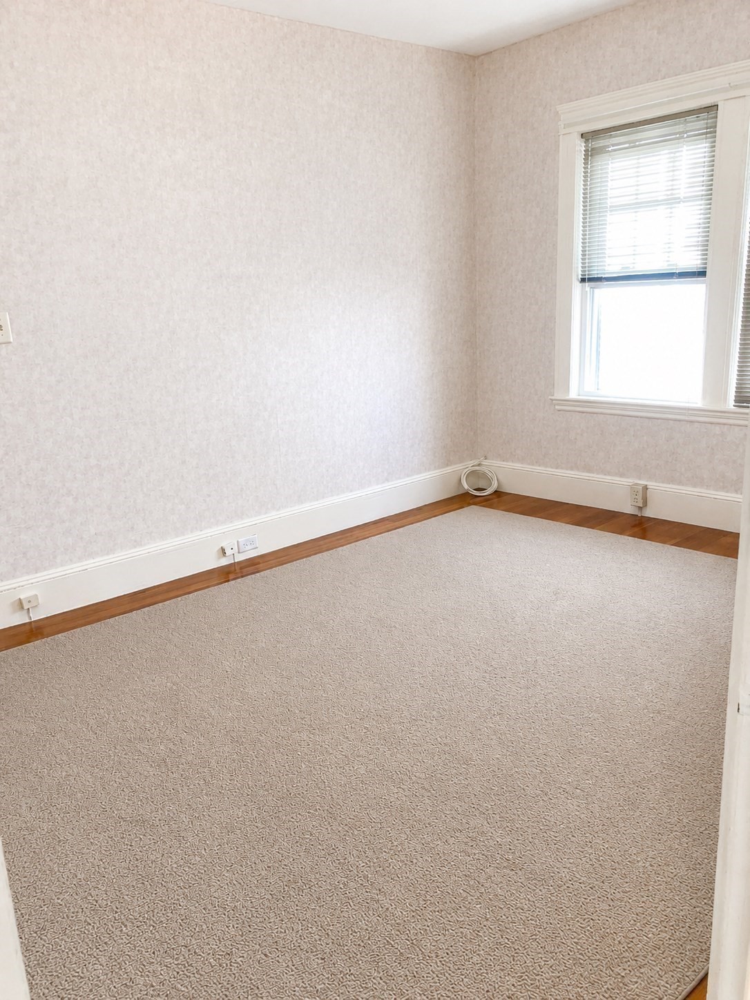 64 Freeman St # 1 Property Photo 5