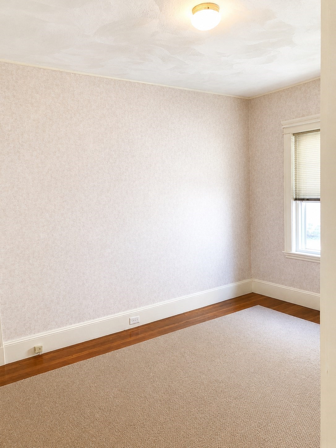 64 Freeman St # 1 Property Photo 6