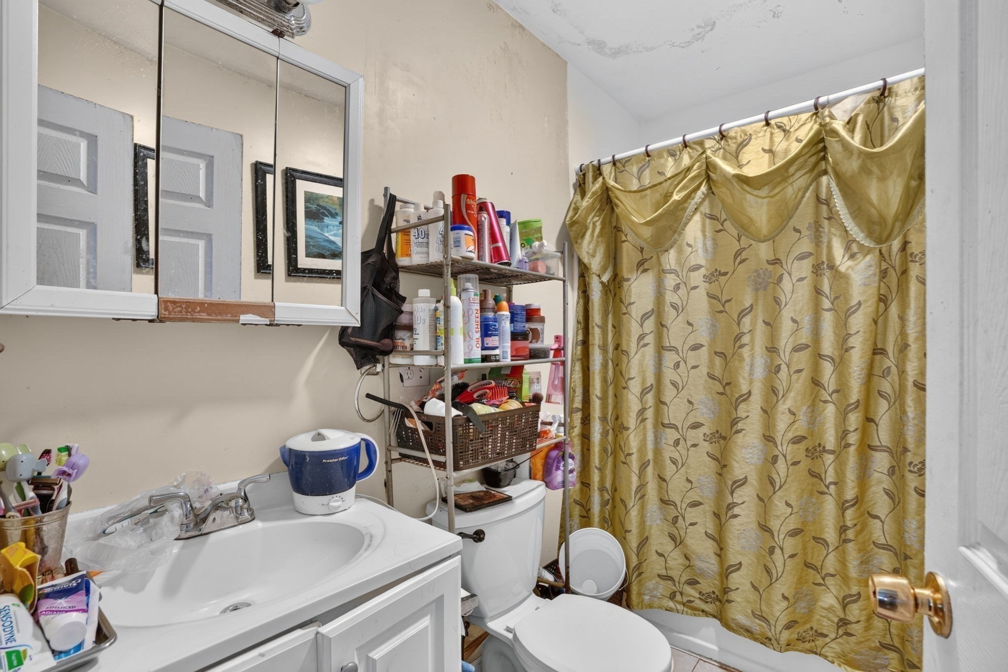 33 Park St Property Photo 19