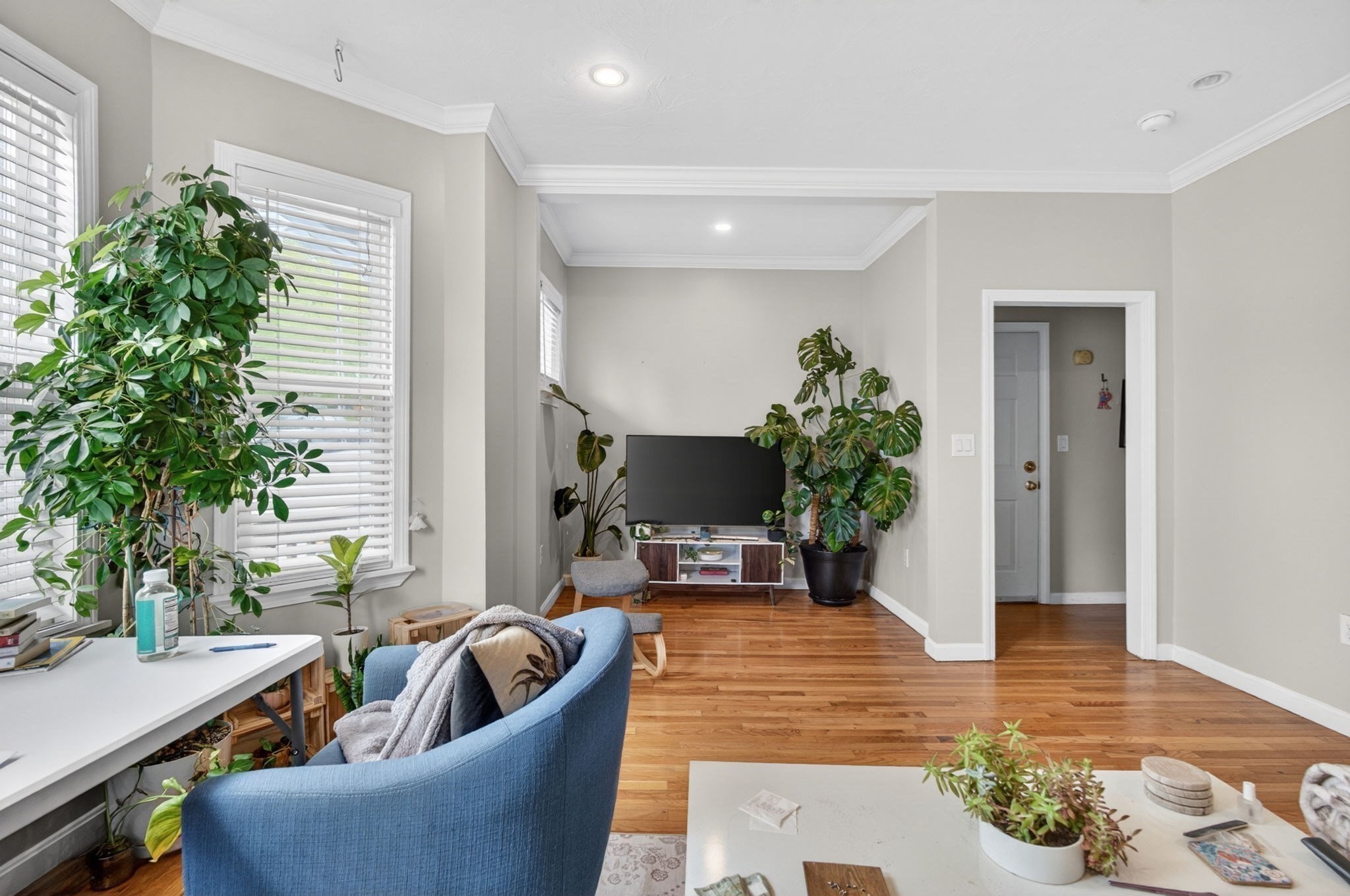 12 Schiller St Property Photo 7