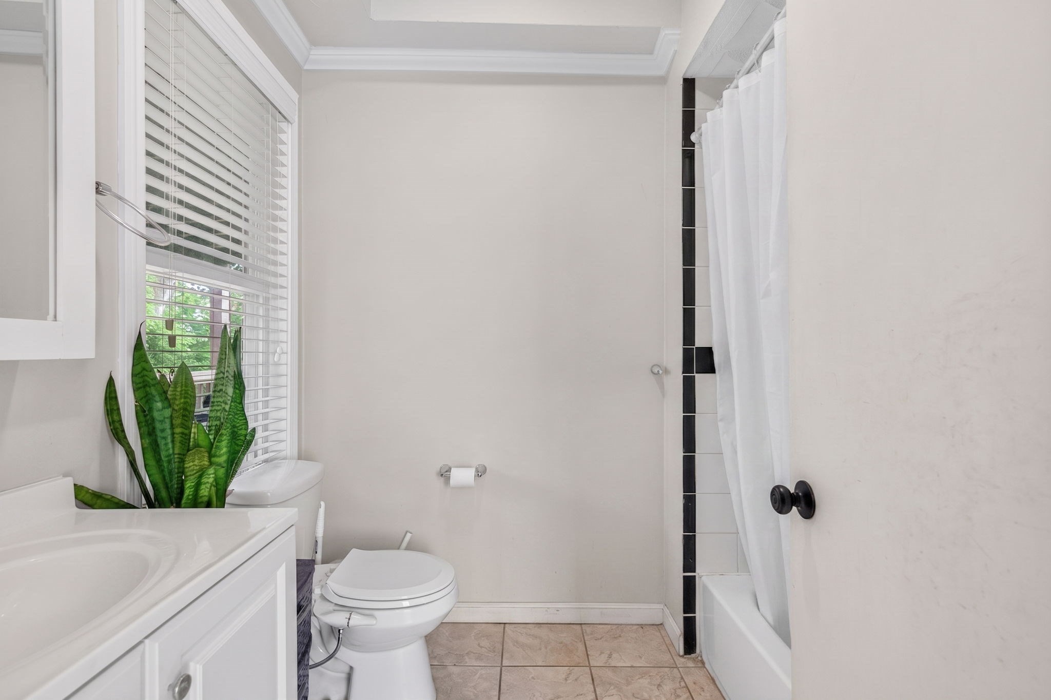 12 Schiller St Property Photo 16