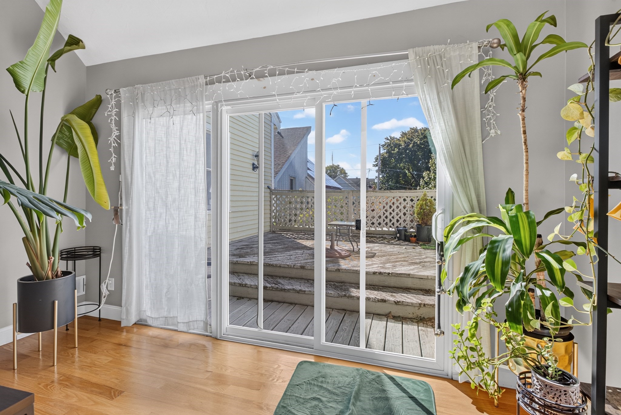 42 Epping Street # 4 Property Photo 8