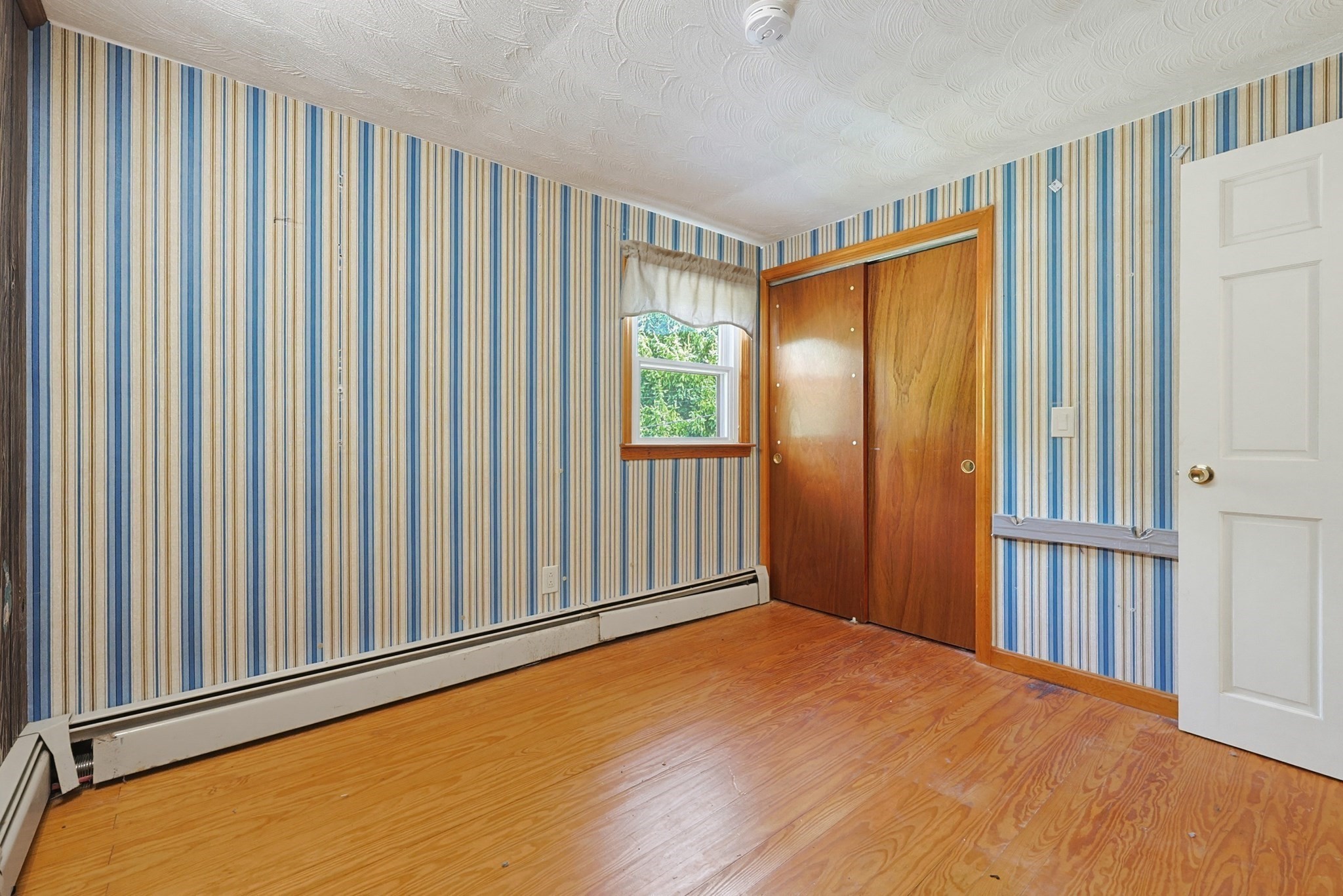 223 Reed Rd Property Photo 12