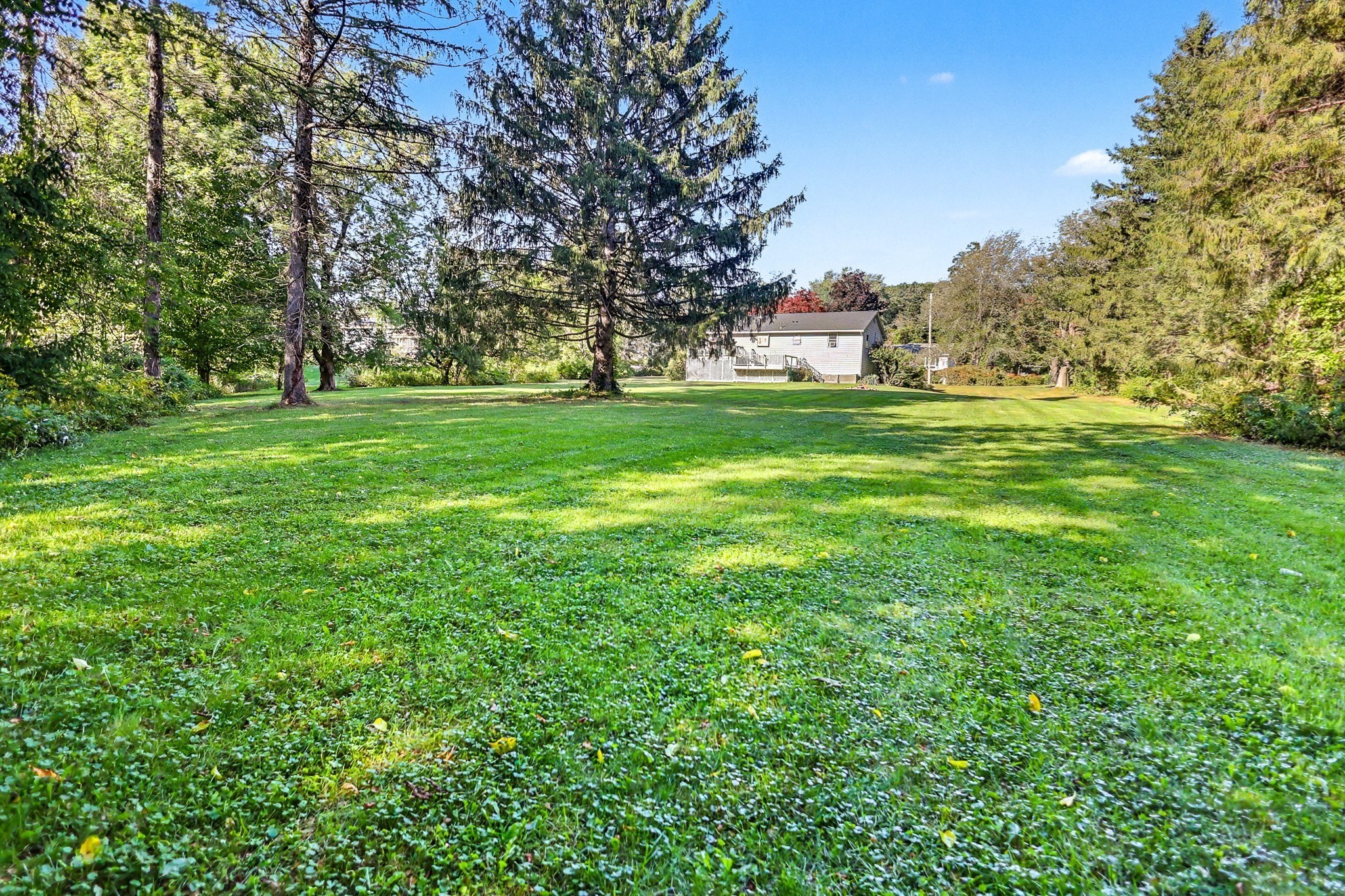 49 Meadowview Rd Property Photo 3