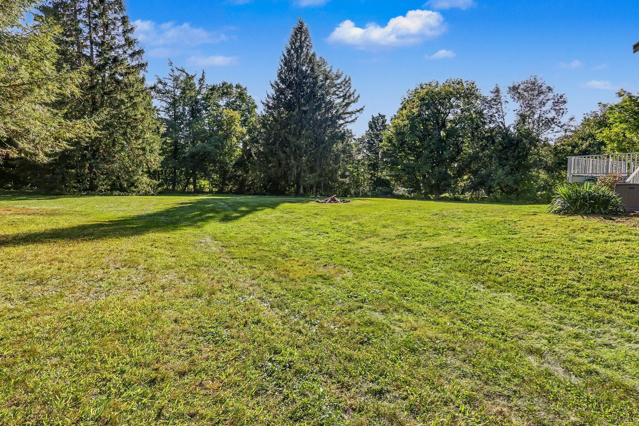49 Meadowview Rd Property Photo 31