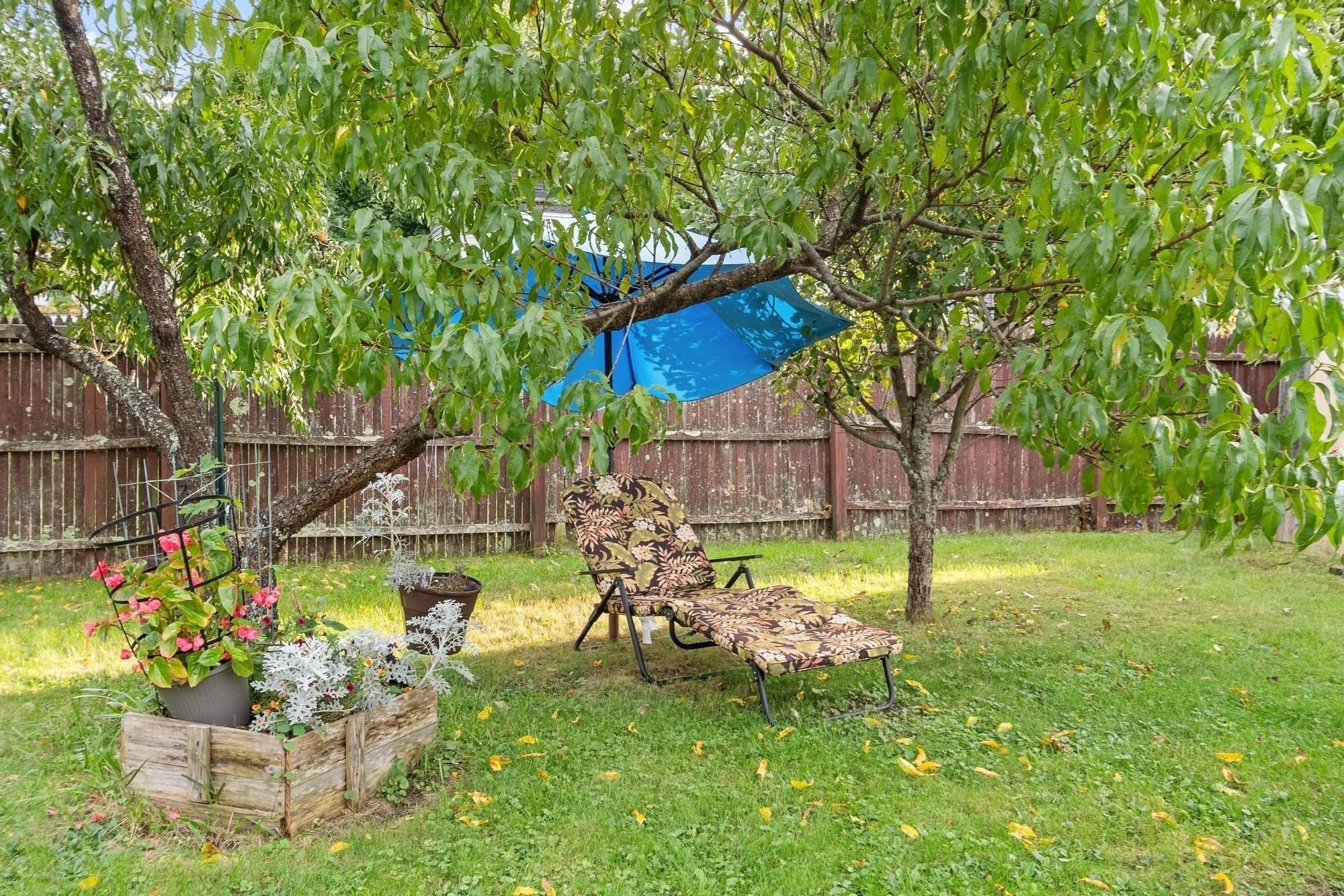 2 Hamilton St Property Photo 29