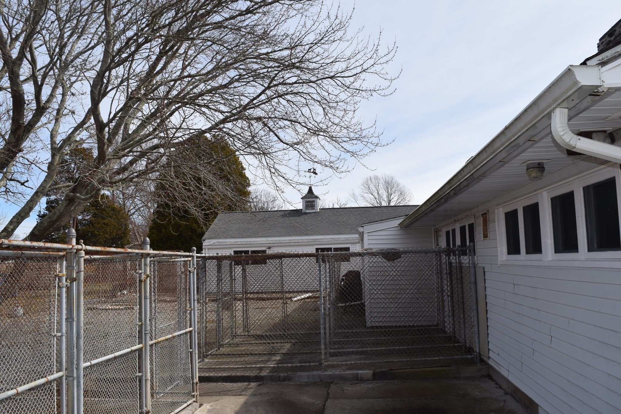 475 Cedar Ave Property Photo 26