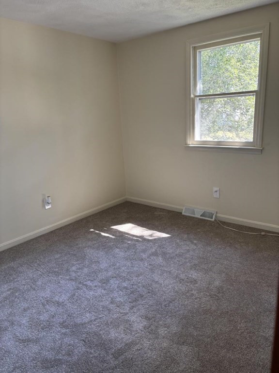 91 Hayward Ave Property Photo 14